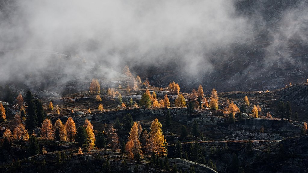autumn light